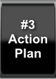3 Action Plan